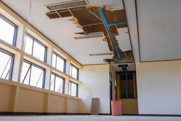Best Commercial water damage restoration  in Elk Grove Vlage, IL