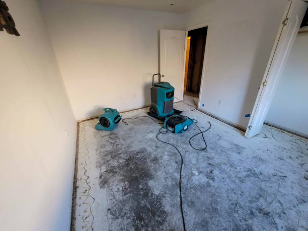 Best Fire Damage Restoration  in Elk Grove Vlage, IL