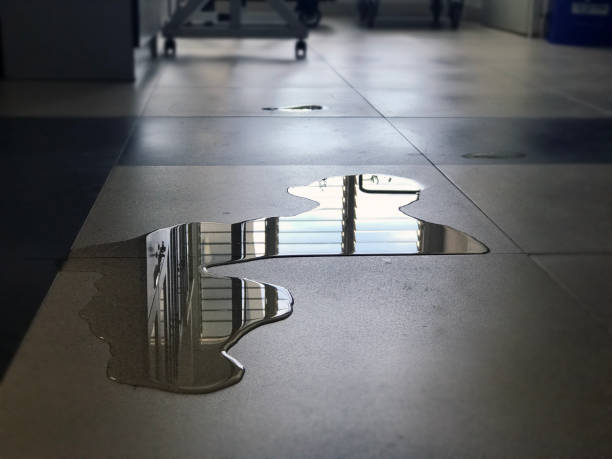 Best 24-hour water damage restoration  in Elk Grove Vlage, IL