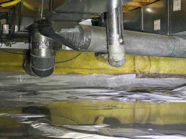 Best Flooded house restoration  in Elk Grove Vlage, IL