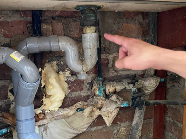 Trusted Elk Grove Village, IL Water damage restoration Experts